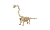 Brachiosaurus Skeleton Model Nanoblock | tuyendungnamdinh