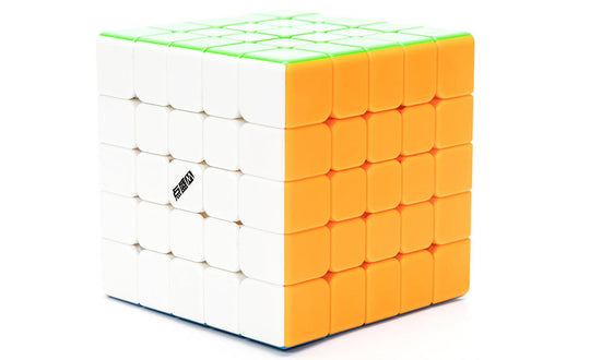 DianSheng 5x5 (Magnetic) | SpeedCubeShop