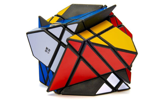Lee Dual Fisher 4x4 Cube | SpeedCubeShop